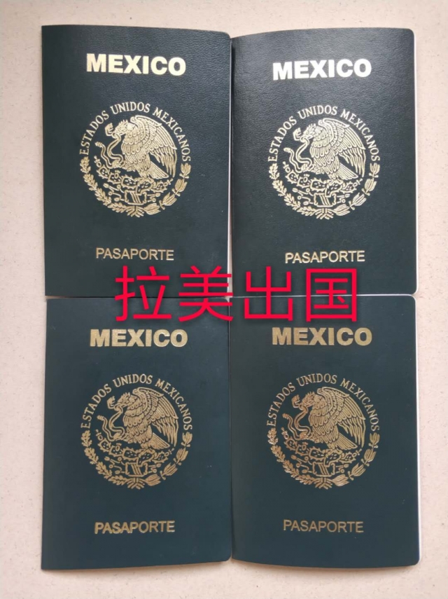 墨西哥护照