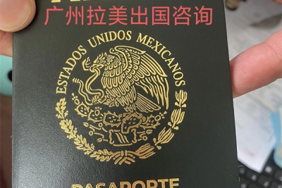 墨西哥新版本的芯片护照